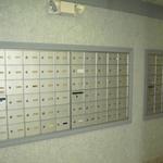 All mail is delivered to mailboxes located in each building Lobby